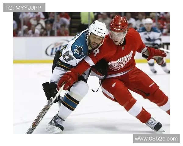 鲨鱼体育运动俱乐部：领航体育潮流，探寻运动新境界