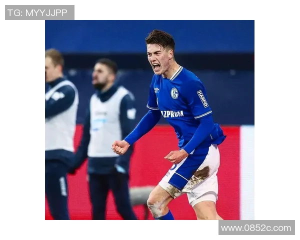 沙尔克04遭遇连败，保级形势严峻，经理人索莱尔深陷压力